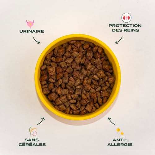 Franklin – Croquettes pour Chat Stérilisé – Gamme Bien-être – avec 70% de Canard – sans céréales – Mono-protéine – Taille 10mm – 6 kg