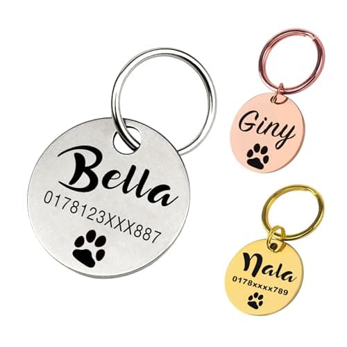Médaille chien gravée personnalisée | nom, numéro de téléphone, écriture manuscrite, patte, cœur, les deux côtés | Étiquette de chien et chat en acier inoxydable de, pendentif nom, 23 mm