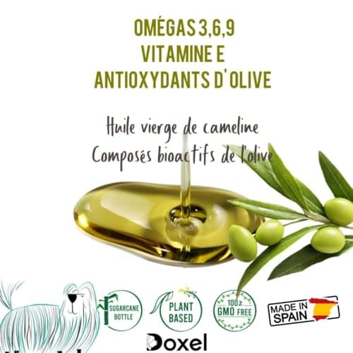 Doxel Senior 1L | Huile pour Chien Agés | Anti-Inflammatoire | Supplément | Omega 3 6 9| Vitamine E | Chien Adultes | Anti-âge Articulations et Muscles Saines | Arthrose Chien | Huile de Camelina