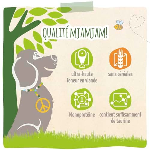 MjAMjAM - Nourriture Humide Premium pour Chiens - naturellement délicieux - Bio Boeuf aux courgettes,Paquet de 6 (6 x 800g), sans céréales avec Extra Viande