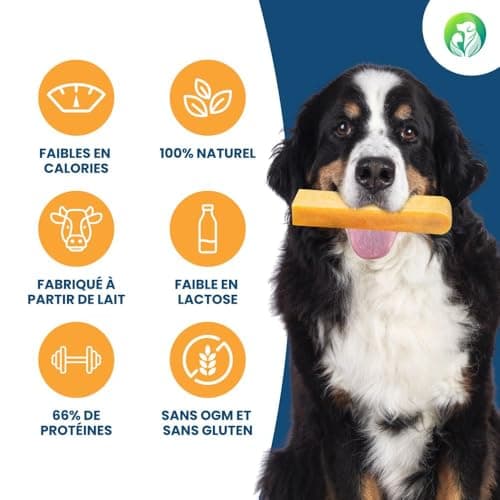 Dilecti Friandises Naturelles à Mâcher de l'Himalaya - des Friandises à Mâcher Naturelles très Savoureuses, Dures et Durables Occuperont Votre Chien Pendant Un Certain Temps. (Taille L, Lot de 5)