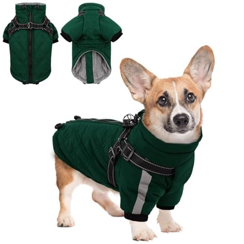 CITÉTOILE Manteau Chaud pour Chien, Veste Coupe-Vent pour Chien par Temps Froid, vêtement d'hiver pour Chien avec Fermetures éclair et Poignets Amples, Verte, XS
