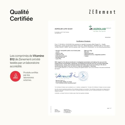Vitamine B12 1000 mcg - 450 Comprimés Végans (+ 1 An) - Vit B12 Méthylcobalamine Hautement Biodisponible - Pour l'Énergie, l'Immunité et la Fatigue - Pour Végans, sans Additifs et Sans Gluten