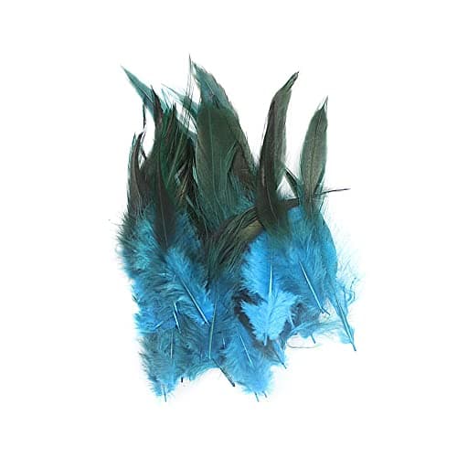 Csirnto Plumes 200 Pièces Naturelles Plumes de Coq Artisanat Plumes Décoration Coq Plume Plumes de Poulet Plumes de Faisan Plumes Naturelles pour Artisanat DIY Dream Catcher Costume Décoration