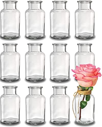 Praknu 12 Petits Vases en Verre 12,5 cm – Soliflore – Vase Décoratif Table