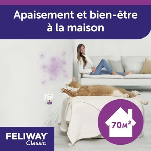 FELIWAY Classic - Pack 3 Recharges - La Solution Conçue pour Réduire Les Signes de Stress de Votre Chat : Griffures, Marquages Urinaire, Peurs - Scientifiquement Prouvé - 3 Recharges (3X 30 Jours)