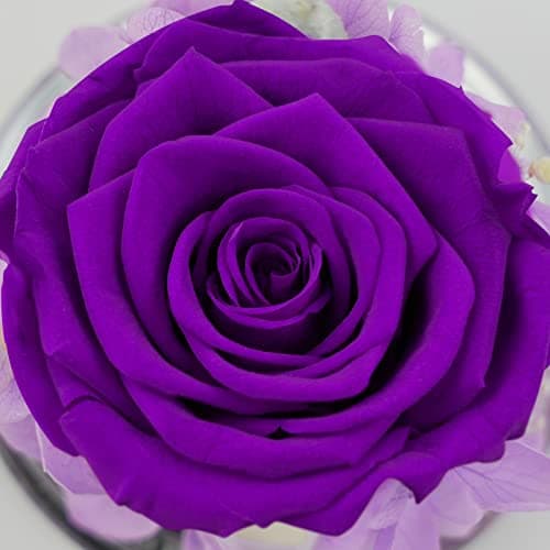 Sunia Cadeau Femme Noel, Rose Eternelle Cadeau Maman Noel, Ange Figurine en Verre avec Fleur Eternelle,Cadeau Maman Mamie, Cadeau Anniversaire Femme, Cadeau Noel Saint Valentin,Ange Gardien Vraie Rose