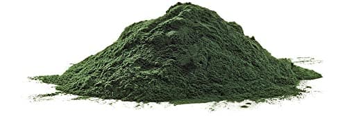 SPIRULINE BIOLOGIQUE EN POUDRE * POWDER Nothing But Plants® * 250g * Riche en Protéines