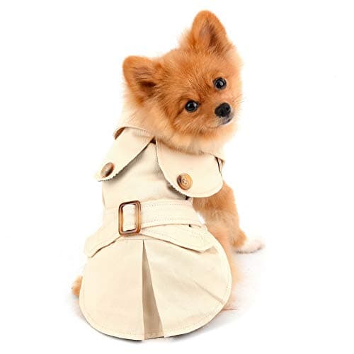 PAIDEFUL Trench pour petits chiens fille garçon coupe-vent mode western veste avec ceinture vêtements d'extérieur automne hiver chien vêtements pour chiot chihuahua yorkie, kaki, taille S