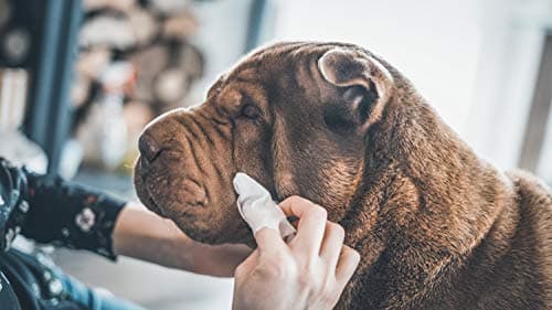 Vetocanis Lingettes Nettoyantes Chien et Chat x72 , Lingettes nettoyantes Oreilles, Yeux et Pattes de Chien et Chat Toutes Races et Tous Âges , Formule à base d'Actifs Végétaux, grand