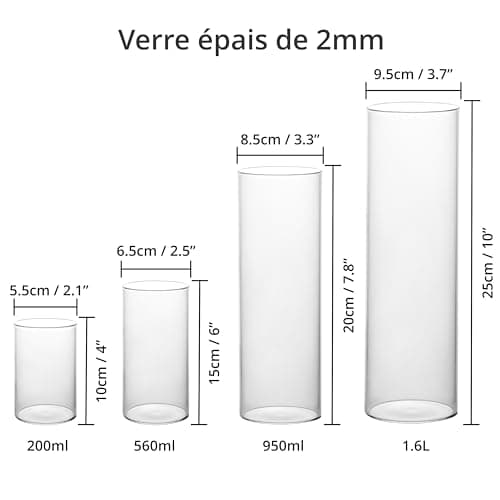 Winter Shore Vase Transparent Verre [Lot de 4] - Vase Cylindrique en Verre de 4 Tailles - Vase Haut pour Plantes, Fleurs, Fausses Fleurs, Herbe de Pampa, Bougies - Décoration Fêtes, Maison, Mariage
