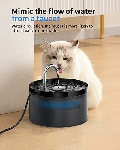 Fontaine a Eau Chat: Fontaine à Eau pour Chat - 2L Distributeur Eau Chat - Fontaine Eau Chat - Fontaine a Eau - Super Silencieuse - Convient à Plusieurs Animaux de Compagnie - Noir - GIOTOHUN