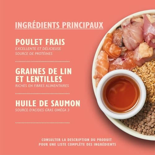 Adulte 8+ Salmon Scottish & Trout Gluten Nourriture sèche pour Chiens Gratuit 1 kg
