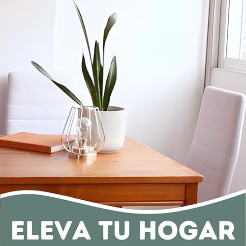 HOME DESIGN & CONFORT Lot de 6 chaises de salle à manger tapissées - (Noir)