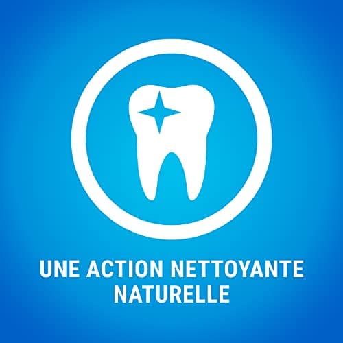 DENTALIFE | Friandise à mâcher pour Chien Adulte de Grande Taille | Action nettoyante naturelle | Nettoie les dents difficiles à atteindre, Aide à combattre la mauvaise haleine | Sachet | 72 Bâtonnets