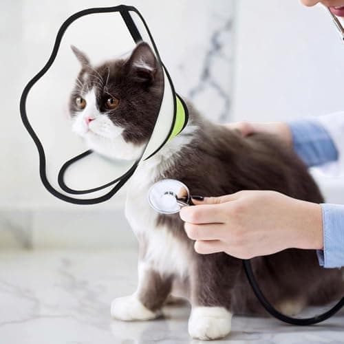 YUEMING Collerette pour Chien, Anti-Morsure Protection Cône Collerettes pour Chien Chat de Chiot, Protecteur de Cône de Cou Réglable pour Chiens Récupération après Chirurgie et Blessures(XL)