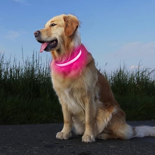 PcEoTllar Collier Lumineux Chien, Collier Chien LED Rechargeable et Etanche Clignotant, Collier Chien Fluorescent avec 7 Couleurs, Sécurité avec Réglable pour Petits Moyens Gros Chiens, Rose-M