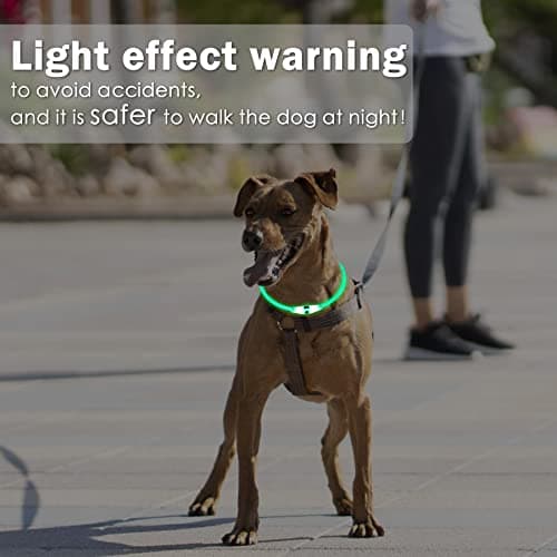 Coolzon LED Collier Lumineux 3 Changement Couleur Rechargeable et Longueur Ajustable, Imperméable Découpable Collier pour Chien Chat Petit Moyen Grand