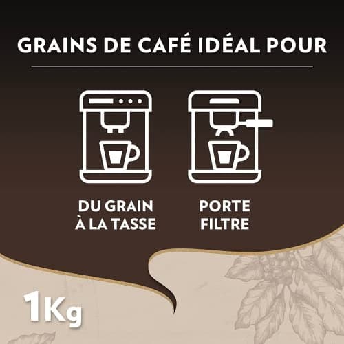 LAVAZZA - Café Espresso Barista Perfetto - Café Grain - 100 % Arabica - Italien - Intensité 6 - 2 Paquets de 1 kg (L'emballage peut varier)