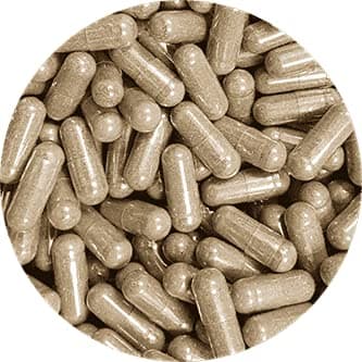 RUE DES PLANTES - Gymnema Bio - 120 Gélules