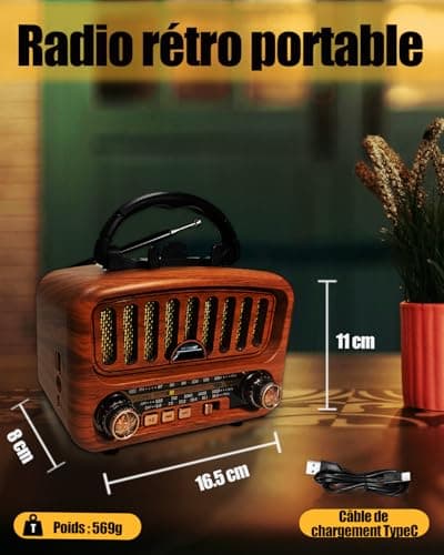 Poste Radio Portable avec Haut-Parleur Bluetooth, AM/FM/SW Petite Radio Vintage avec Haut-Parleur 5W et Bluetooth 5.0, Transistor Radio a Pile avec Fonction USB/TF/AUX (Or)