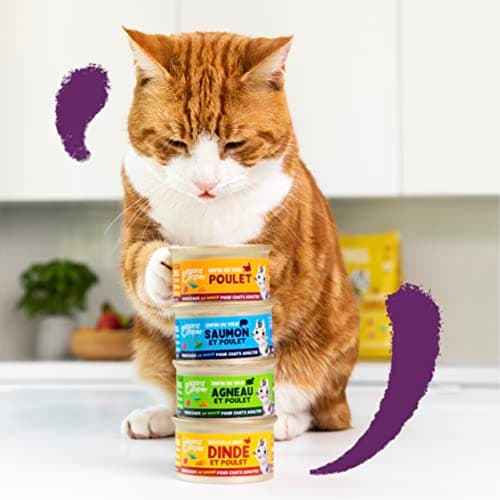 Edgard & Cooper Pâté Pour Chat, Adulte, (Saumon & Poulet, 85g x 18), Patée Morceaux en Sauce pour Chat, Viande et poisson frais et protéines de qualité, Pâté pour chat stérilisé et actif
