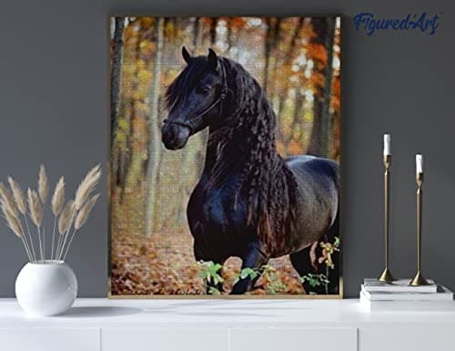 Figured’Art Diamond Painting Broderie Diamant 40x50cm Toile Entière Roulée avec Strass Perles Carrés - Jument noire - Kit Complet Cheval 5D DIY Activité Manuelle Loisirs Créatifs Adultes