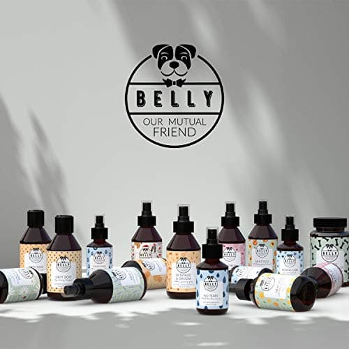 Belly Huile de Chanvre Chien & Chat - 100ml - Pressé à Froid - Riche en Omega 3 6 9, Vitamine E - Sommeil, Anti Stress Chien, Pelage Brillant, Système Immunitaire & Articulation Renforcé
