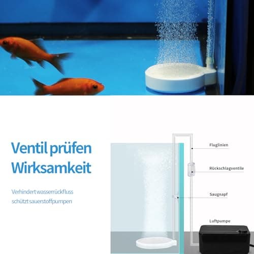 boxtech Pierre à air d'aquarium, Diffuseur d'air pour Aquariophilie, Pierre Air Aquarium d'air Fournir de l'Oxygène aux Poissons dans l'Aquarium (50mm, Pompe à air et Tuyau d'air Non Inclus)
