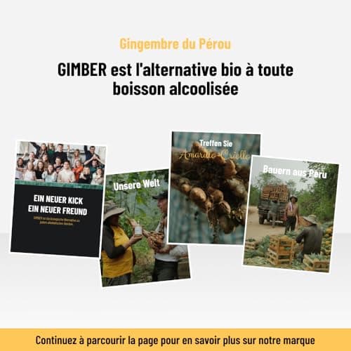 GIMBER Concentré de gingembre bio 3x700 ml (2,1L) | Boisson sans alcool 100% biologique à base de gingembre, citron et épices | Jus de gingembre Premium
