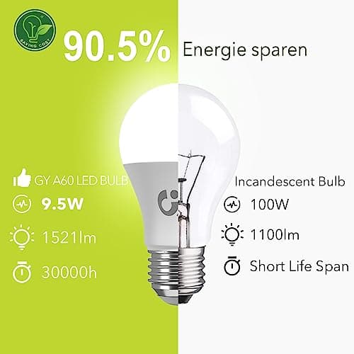 GY Ampoule LED E27 9.5W (équivalent 100W), 6500K Blanc Froid 1521 lumens, A60 Ampoules E27 LED Efficacité Energétique, Dépolie, Non-Dimmable, 6 Unité (Lot de 1)
