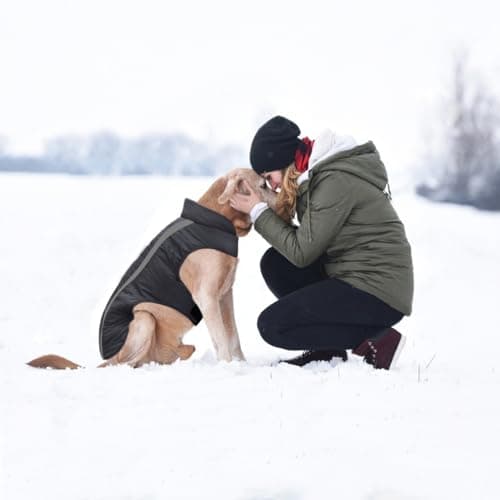 Idepet Chien Manteau Hiver imperméable Chaud Gilet vêtements réfléchissante Sangle Patchwork rembourré Veste à Capuche pour Petit Moyen Gros Chiens