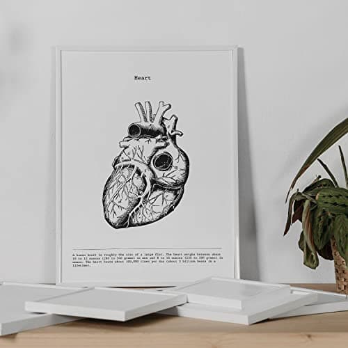 Nacnic Ensemble de 3 Affiches d'anatomie en Noir et Blanc avec des Images du Corps Humain. Pack de fiches sur la biologie avec Cœur, Cerveau et Poumons. Format A3. sans Cadre.