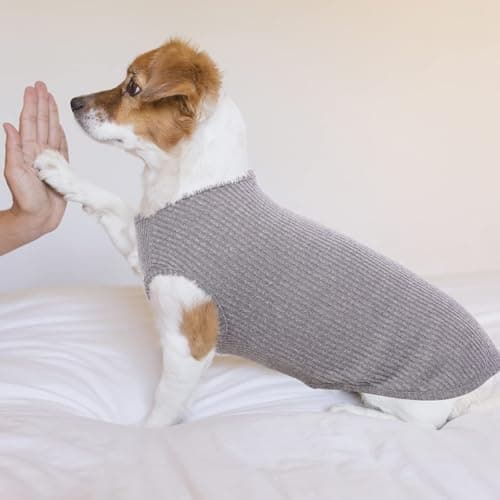 Hjumarayan Tee Shirt Chien - Pull Rayé pour Chien Sweat Chien Fin Pull Chien, Vetement pour Chien Chat T Shirt Chien Tee Shirt Chien Ete T Shirt pour Chihuahua Yorkshire Terriers (Gris XS)
