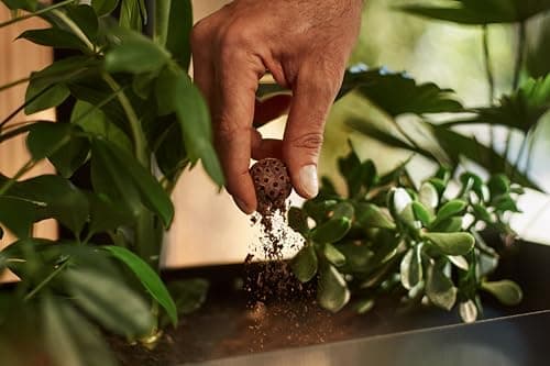 CoffeeB by café royal Lungo - 9x10 Balls - un système de capsule sans capsule - 100% compostable