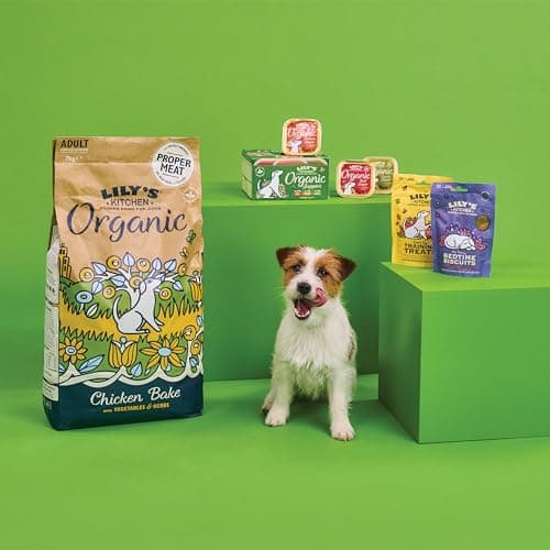 Lily’s Kitchen Fabriqué à partir d’ingrédients naturels Aliments secs pour chiens adultes Poulet bio cuit au four Nutrition équilibrée 7kg