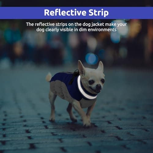 CITÉTOILE Manteau Chien, Manteau pour Petit Chien avec Harnais, Manteau d'hiver pour Chiens Imperméable et Coupe-Vent, Réfléchissant Vetement Chien pour l'hiver pour Teckel, Bouledogue,Chihuahua