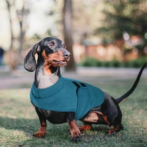 PUZAUKAL Pull pour Petit Chien,Pull-Overs pour Chien et Chat en Polaire Doux Veste Gilet Chien avec Harnais Pull Chaud pour Moyen Grand Chien Bleu Paon(S)