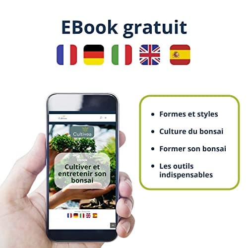 CULTIVEA® Kit Bonsaï Premium Prêt à Pousser - Jardinez et décorez - Entretien de vos bonsaïs et plantes naturel - Fil, Outils, Ciseaux Ronds, Petits Ciseaux Bonsai - Idée Cadeau Original