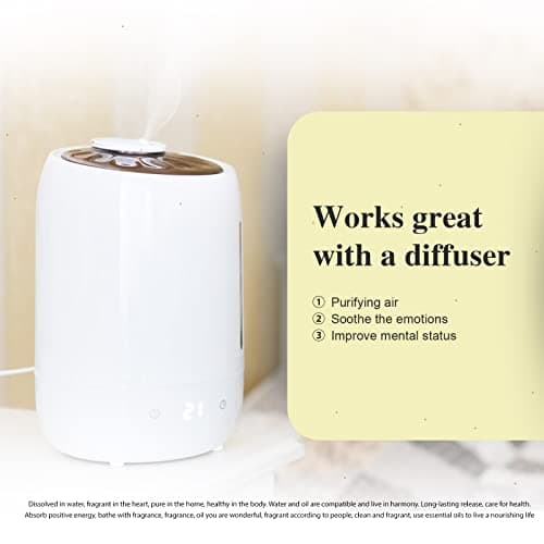 PHATOIL Huile Essentielle Gingembre 10 ML, Huiles Essentielles Pures Naturelles pour Aromathérapie Diffuseur Humidificateur