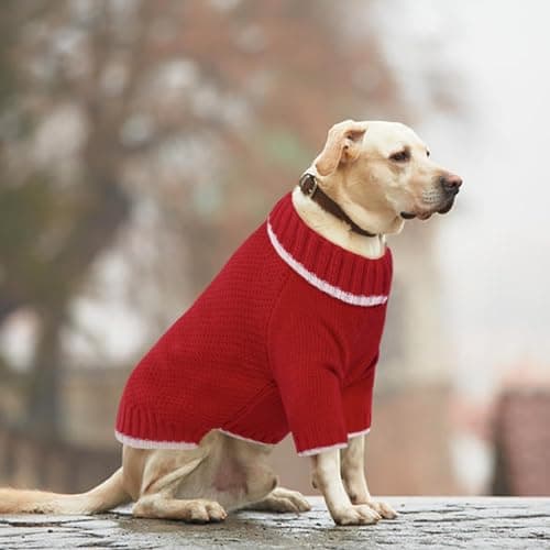 Hjyokuso Pull Chien, Pull pour Chien Petite Taille Moyenne Grande Taille, Pull-Overs pour Chiens Chaud d'hiver, Pull pour Chat à Col Roulé, Vetement Chien, Pull Noel Chien, Manteau pour Chien - M