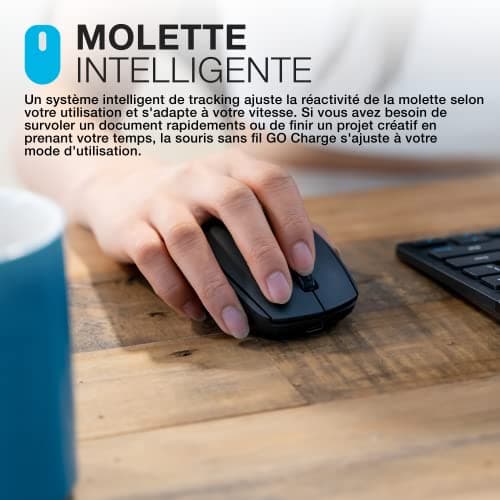 JLAB GO Charge Souris sans Fil Bluetooth, Souris Silencieuse Rechargeable et Ergonomique, Connexion Bluetooth ou Récepteur USB Multi Appareils, Souris pour PC Portable/Ordinateur/Téléphone/Tablette