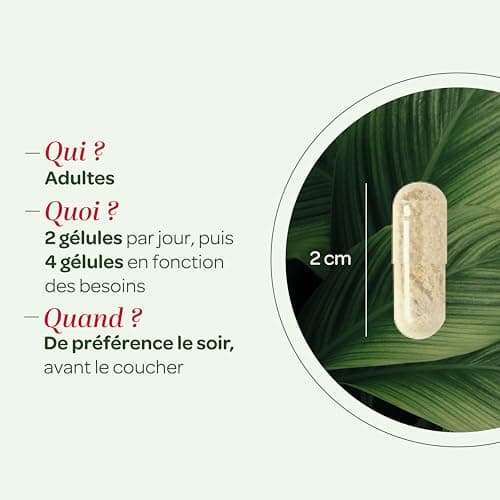 SUPERDIET - GRIFFONIA - Naturopathie - Bon moral et bonne humeur - Fabrication française - 40 gélules