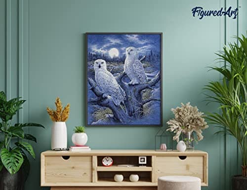 Figured’Art Diamond Painting Broderie Diamant 40x50cm Toile Entière Roulée avec Strass Perles Carrés - Chouettes et Lune - Kit Complet Animaux 5D DIY Activité Manuelle Loisirs Créatifs Adultes