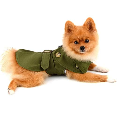 PAIDEFUL Manteau pour petit chien - Coupe-vent - Style western - Pour l'automne et l'hiver - Taille M