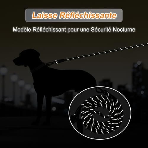 Longe pour Chien, 1,2M/ 1,5M/ 2M/ 3M/ 5M/ 10M/ 20M/ 30M Laisse de Dressage pour Chien, Long Laisse avec Poignée Rembourrée pour Petits, Moyens et Grands Chiens
