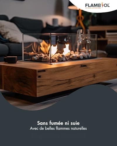 FLAMBIOL Bioéthanol 96,6% Premium 6 x 1 L - pour Cheminée de Table, Cheminée & déco de Jardin - sans Fumée ni suie - A Base de maïs & de Betteraves