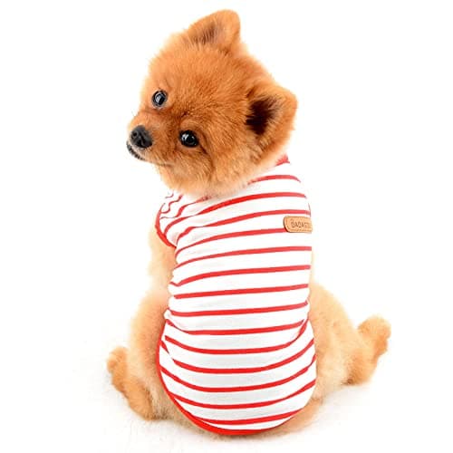 PAIDEFUL T-shirt en coton doux à rayures pour petit chien britannique pour animal de compagnie - T-shirt d'été pour chiot, chihuahua, yorkshire, yorkshire, débardeur respirant