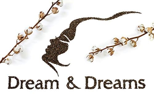 Oreiller Cervical Millet BIO Dream & Dreams, Coussin naturel 30 x 40 cm