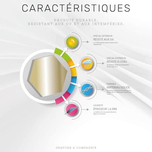 Plaque de Boîte Aux Lettres Personnalisée Adhésive PVC – 10 x 2,5 cm – Gravure Laser – 20 Couleurs Disponibles (Gris Mat)